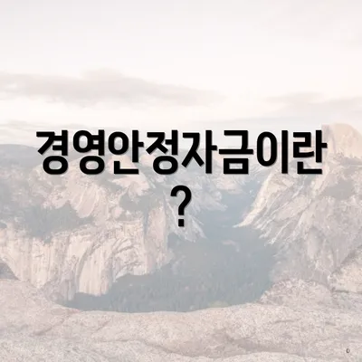 경영안정자금이란?