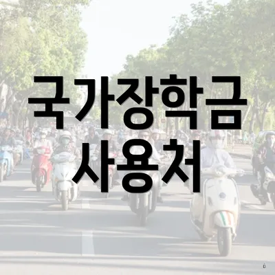 국가장학금 사용처