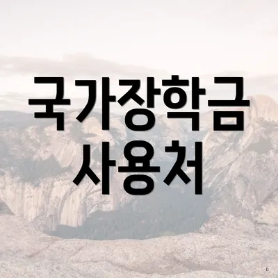 국가장학금 사용처