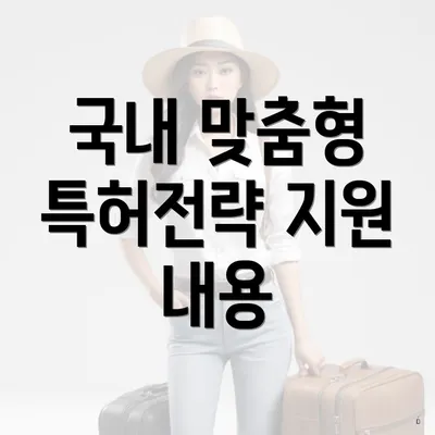 국내 맞춤형 특허전략 지원 내용