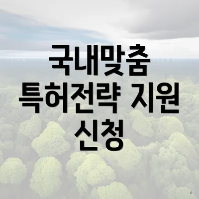 국내맞춤 특허전략 지원 신청