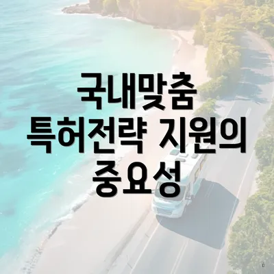 국내맞춤 특허전략 지원의 중요성