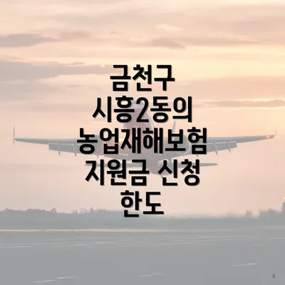 금천구 시흥2동의 농업재해보험 지원금 신청 한도
