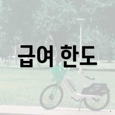 급여 한도