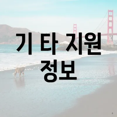 기 타 지원 정보