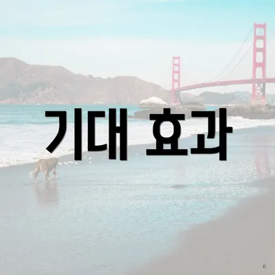 기대 효과