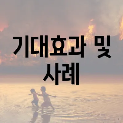 기대효과 및 사례