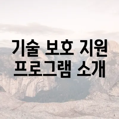 기술 보호 지원 프로그램 소개