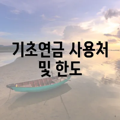 기초연금 사용처 및 한도