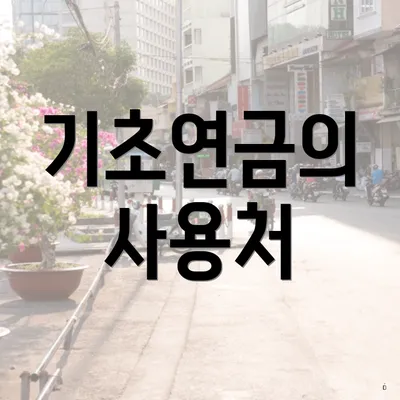 기초연금의 사용처