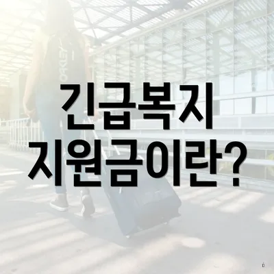 긴급복지 지원금이란?