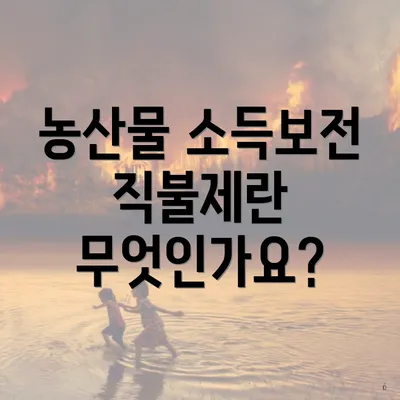 농산물 소득보전 직불제란 무엇인가요?