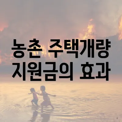 농촌 주택개량 지원금의 효과