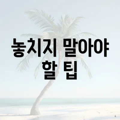 놓치지 말아야 할 팁