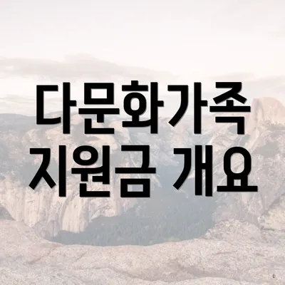 다문화가족 지원금 개요