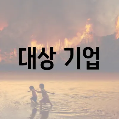 대상 기업