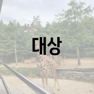 대상