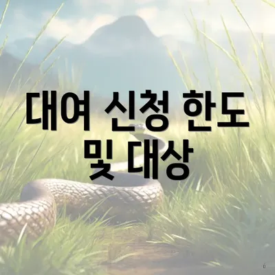 대여 신청 한도 및 대상