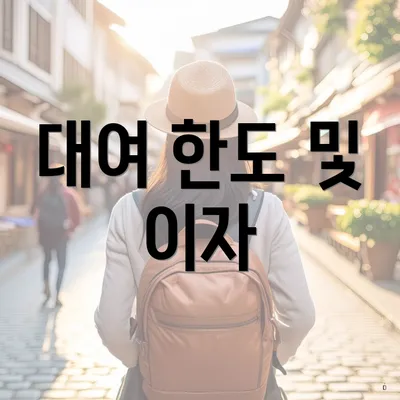 대여 한도 및 이자