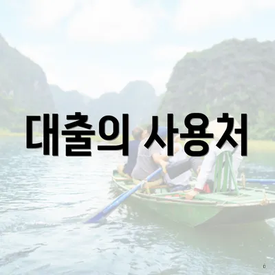 대출의 사용처