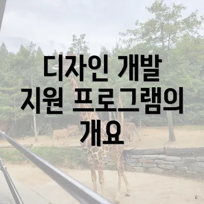 디자인 개발 지원 프로그램의 개요
