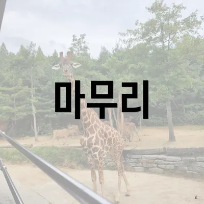 마무리