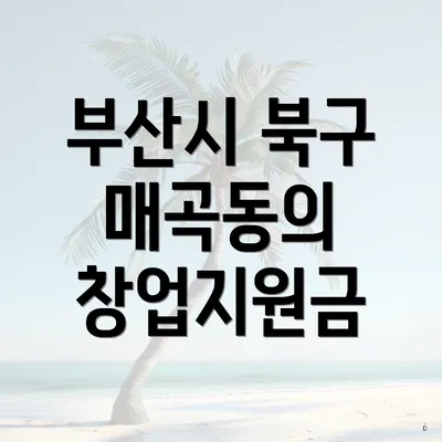 부산시 북구 매곡동의 창업지원금