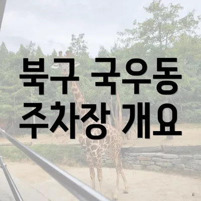 북구 국우동 주차장 개요