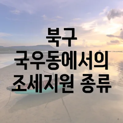 북구 국우동에서의 조세지원 종류