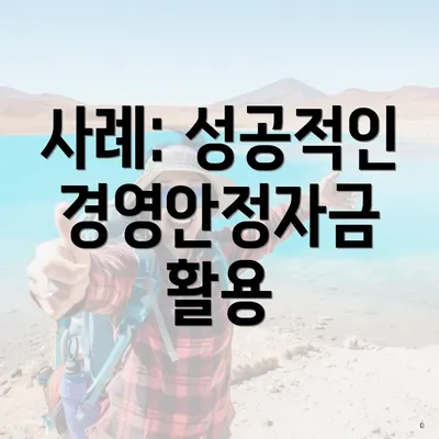 사례: 성공적인 경영안정자금 활용