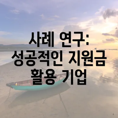 사례 연구: 성공적인 지원금 활용 기업