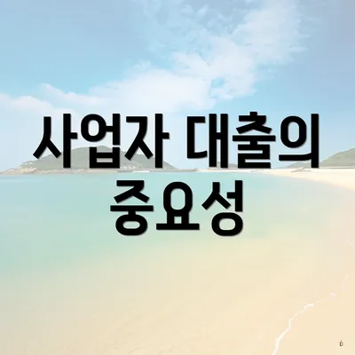 사업자 대출의 중요성