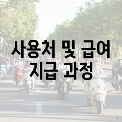 사용처 및 급여 지급 과정