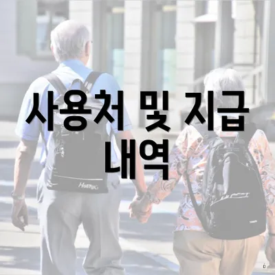 사용처 및 지급 내역