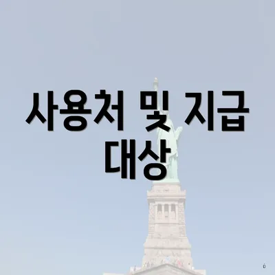 사용처 및 지급 대상