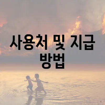 사용처 및 지급 방법