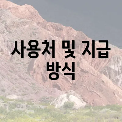 사용처 및 지급 방식