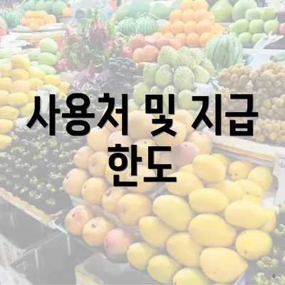 사용처 및 지급 한도