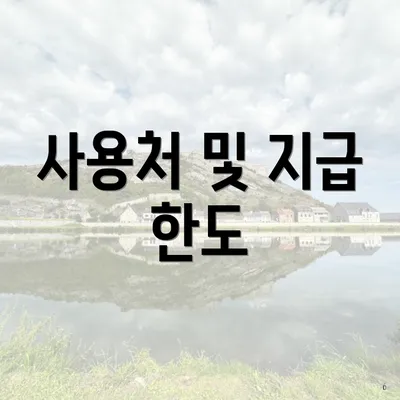 사용처 및 지급 한도
