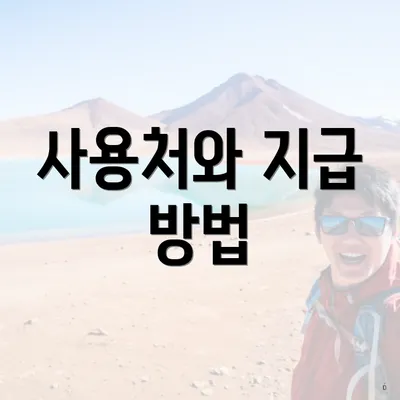 사용처와 지급 방법