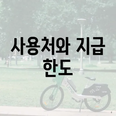 사용처와 지급 한도