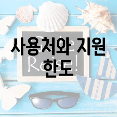 사용처와 지원 한도