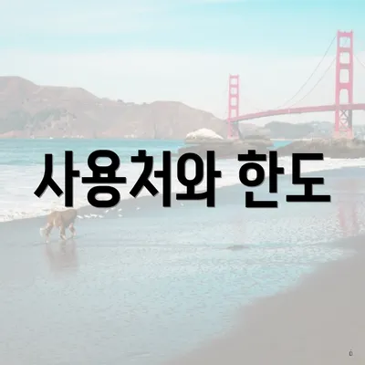 사용처와 한도