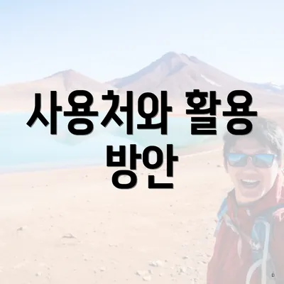 사용처와 활용 방안