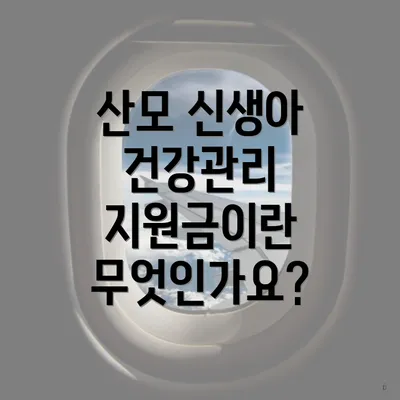 산모 신생아 건강관리 지원금이란 무엇인가요?