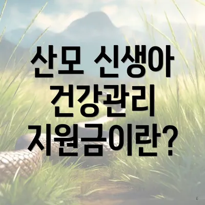산모 신생아 건강관리 지원금이란?