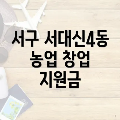 서구 서대신4동 농업 창업 지원금