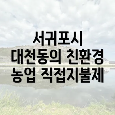 서귀포시 대천동의 친환경 농업 직접지불제