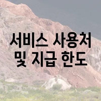 서비스 사용처 및 지급 한도