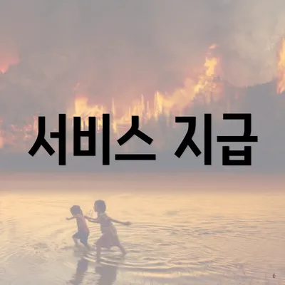 서비스 지급